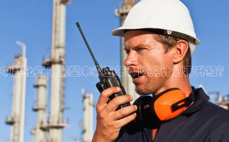 伟的国际1946bv官网