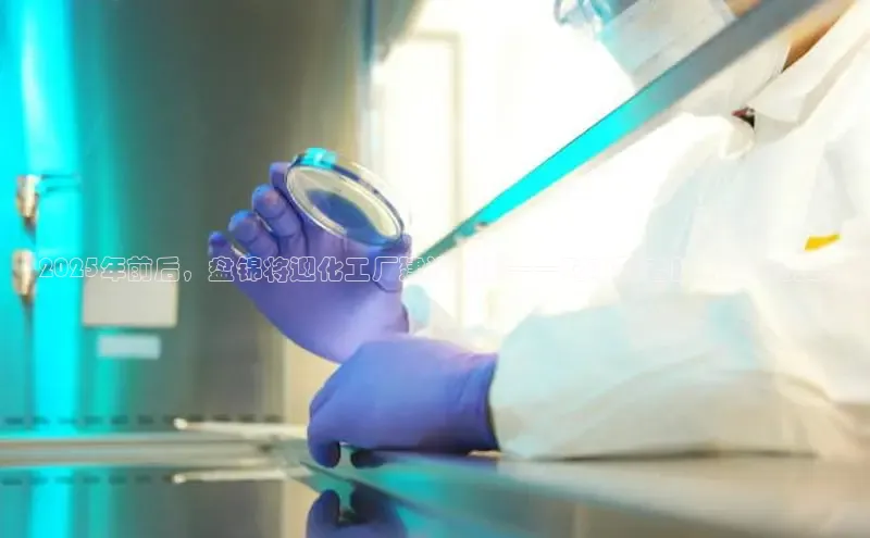 伟德betvlctor国际官网